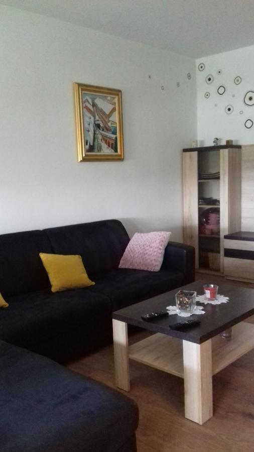Apartman Lana ,Froudeova Ulica 3 Nasuprot Zg Velesajma Apartment ซาเกร็บ ภายนอก รูปภาพ