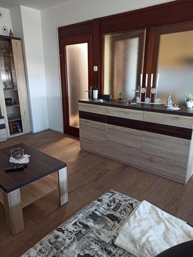 Apartman Lana ,Froudeova Ulica 3 Nasuprot Zg Velesajma Apartment ซาเกร็บ ภายนอก รูปภาพ